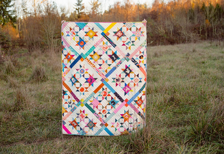 A Scrappy Remy Quilt