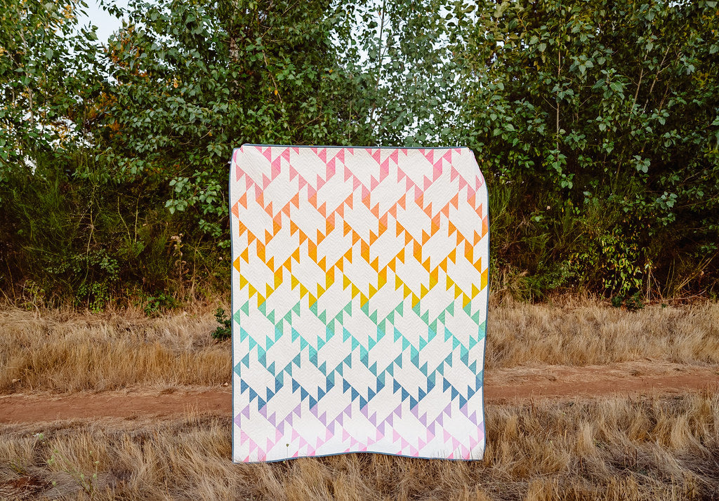The Jenny Quilt in a Rainbow of Pure Solids